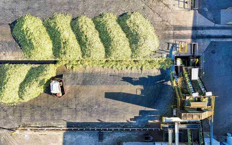 外观检测设备的深度学习算法应用有哪些