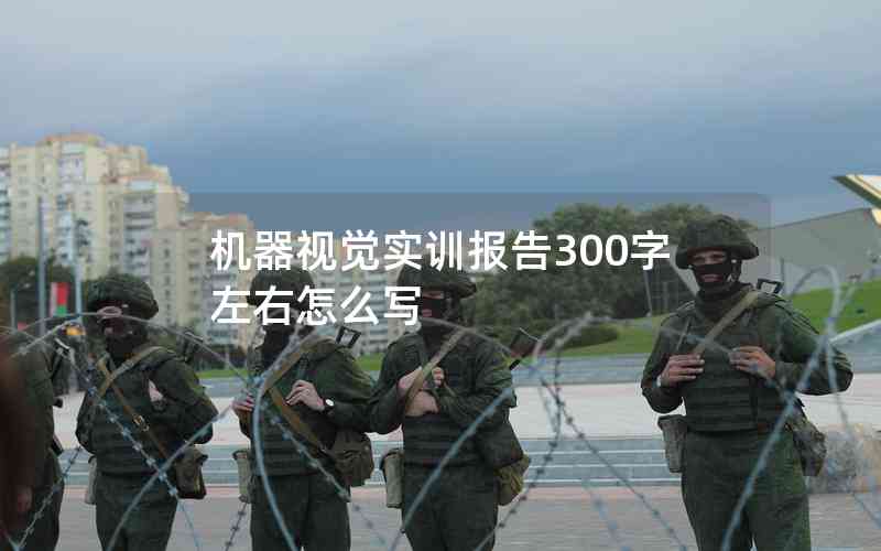 机器视觉实训报告300字左右怎么写