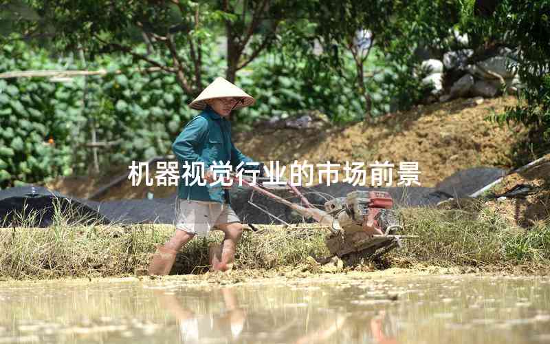 机器视觉行业的市场前景