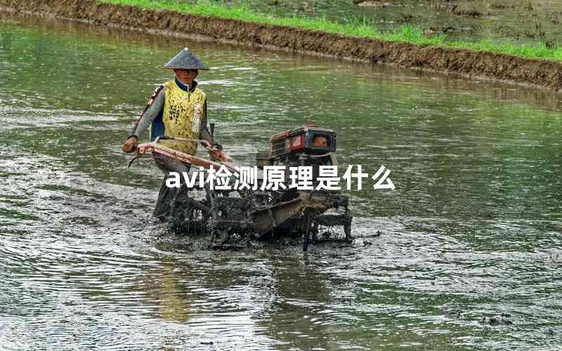 avi检测原理是什么