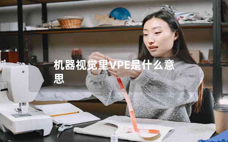 机器视觉里VPE是什么意思