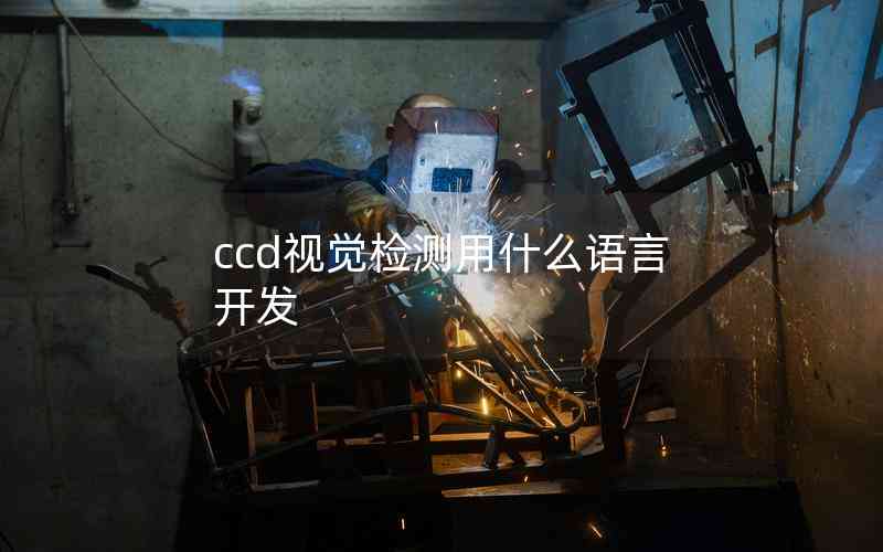 ccd视觉检测用什么语言开发